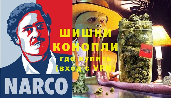 шишки Алексин