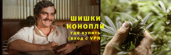 шишки Алексин