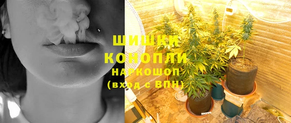 шишки Алексин