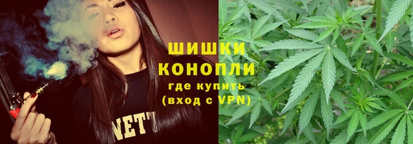 шишки Алексин