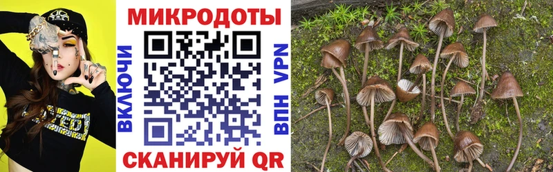 Купить где  Купино  Галлюциногенные грибы мицелий 